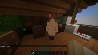 minecraft game | Someone got into the attic ?