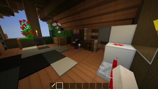 minecraft game | Someone got into the attic ?