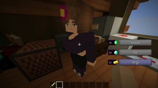 minecraft game | Someone got into the attic ?