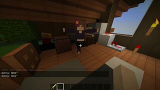 minecraft game | Someone got into the attic ?