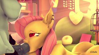 The best MLP hmv! Can you watch it to the end?
