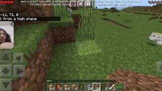 Minecraft Gameplay #5 / setting everything right for my home // WITH FACECAM