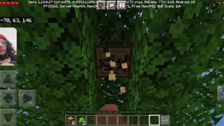 Minecraft Gameplay / i pass away in the game and have to find my items // WITH FACECAM