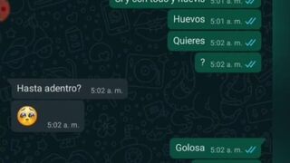 WHATSAPP CONVERSATION WITH MY STEP-COUSIN GABRIELA FROM MEXICO (spanish)