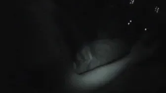 Scandalous GFs - Sexy GF Sucks Dick While Boyfriend Is Driving