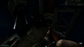 My First Voip Betrayal in Escape From Tarkov