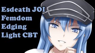 Esdeath Teaches You a Lesson [Hentai JOI, AgK JOI] (Femdom, Light CBT, Edging, CEI)