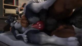 Straight Wolf Yiff-HD Animation!