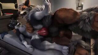 Straight Wolf Yiff-HD Animation!